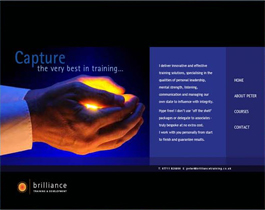 Brilliance Training Website